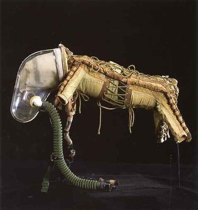 || 1950s Dog Space Suit
