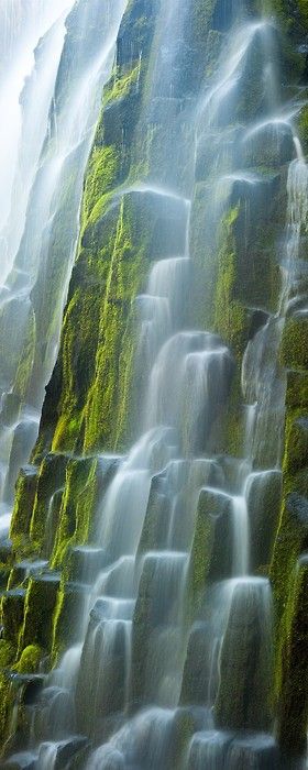 5 waterfalls near Portland, OR - just 15 minutes outside of the city. To learn more, checkout this great article from USA Today.