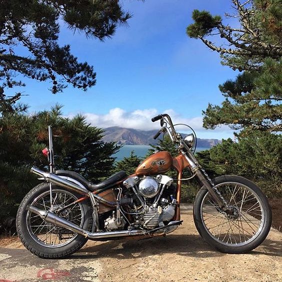 60 weight and high test. — chopcult: when there are no waves hit 