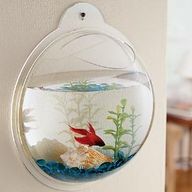 A fish bowl as wall art!