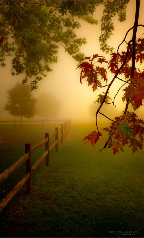 A foggy morning at the park in Albany, New York • photo: Paul Jolicoeur on 500px