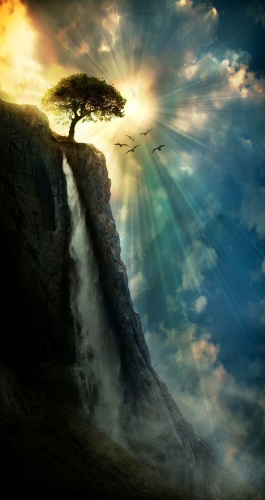 A tree on the edge of a beautiful cliff with a rushing waterfall. The sun's rays burst out from behind the scene. The birds are a nice touch too. I love this! Gorgeous #photography