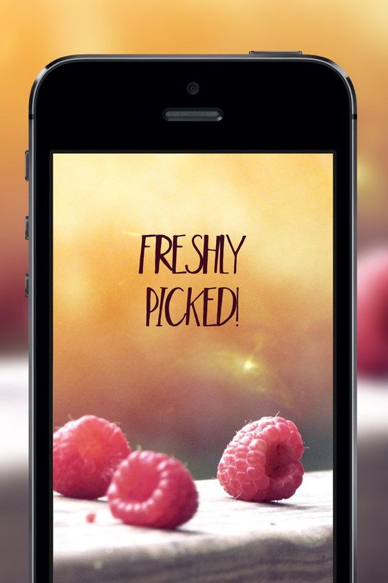 Add text to your images with the Over app. | 20 Tips To Up Your iPhone Photography Game