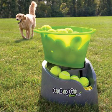 Automatic ball thrower. For the lazy days!