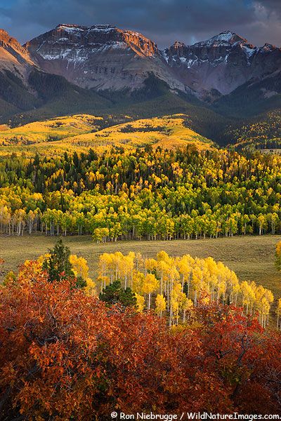 Autumn colors in the San Juan Mountains, Colorado