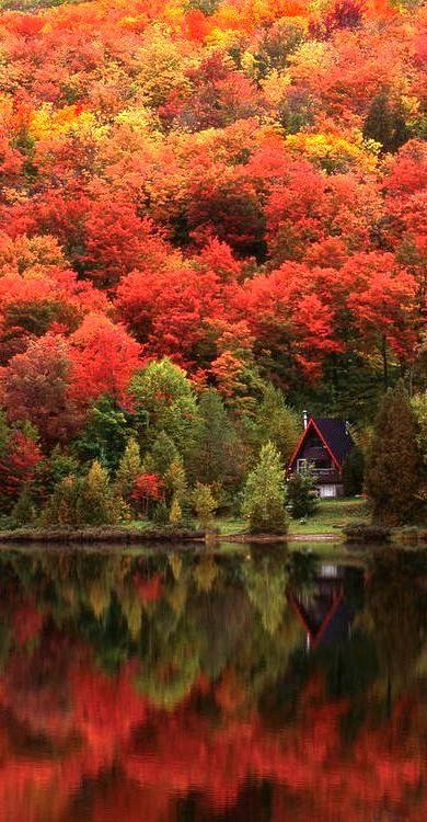 Autumn Lake, Quebec, Canada. I just found my home!!!! #travel #Canada
