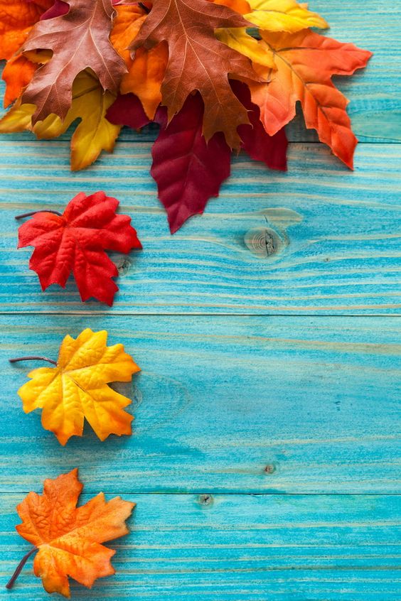 Autumn leaves - Nature iPhone wallpapers @mobile9