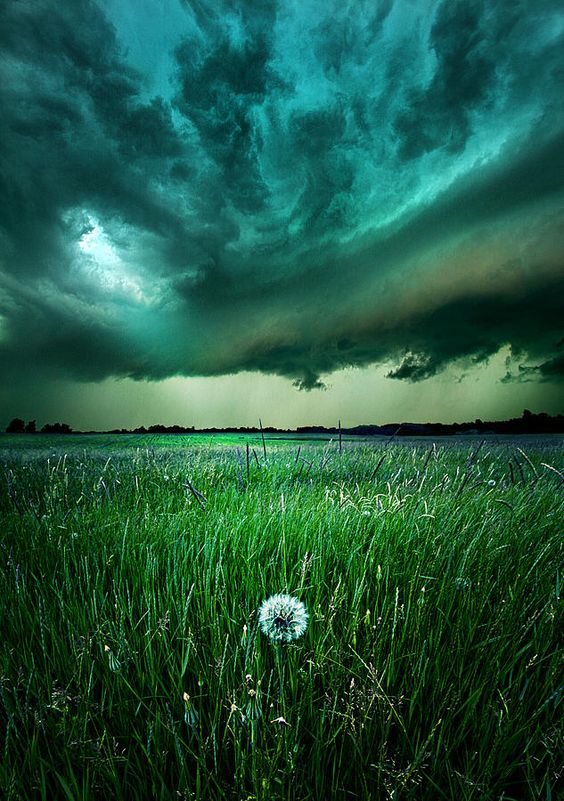 Be 'resolute' to break the silence of ovarian cancer - know the signs & share them with the women you love! | (Resolute by Phil Koch) :: #TopToBottom #WearTeal #belabumbum