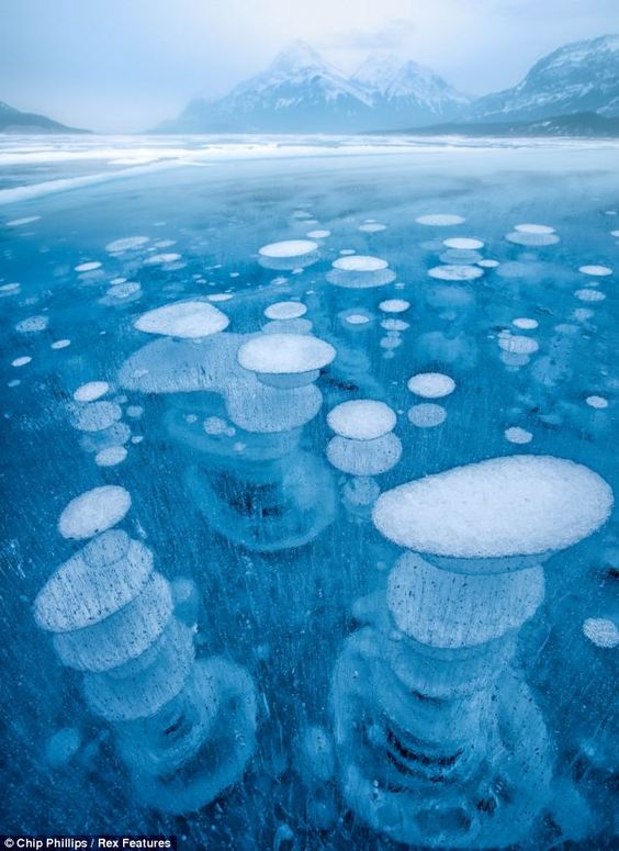 Beautiful pictures of underwater ice  that are actually created by plants releasing gas