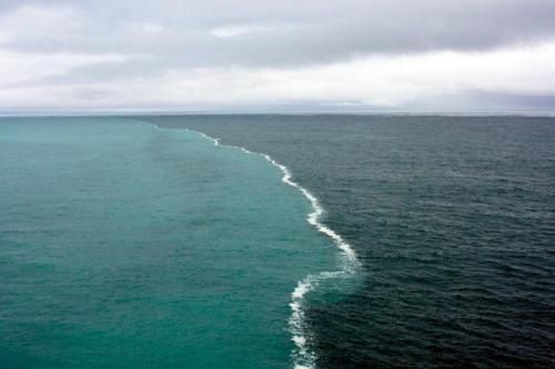 Cape Point, South Africa, where the Indian and Atlantic Ocean meet. Since the oceans have different densities, they don't mix. So cool!