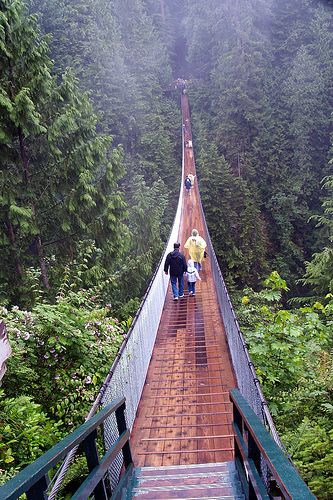 Capilano suspension bridge Canada This was a bucket list item, I'm afraid of heights! It was awesome!