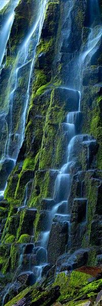 Cascade｜Proxy Falls, Oregon USA