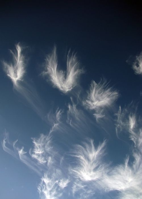 ♥ Clouds, Angels