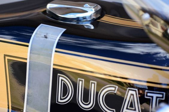 Ducati 750 GT Custom - Tank Fly Paint