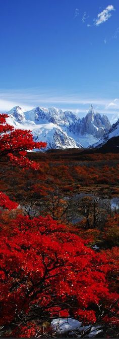 El Chalten , Los Glaciers National Park , Patagonia, Argentina
