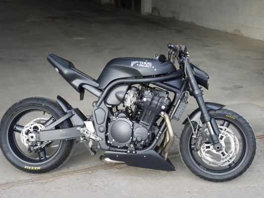 euro-style fighter tails - Custom Fighters - Custom Streetfighter Motorcycle Forum