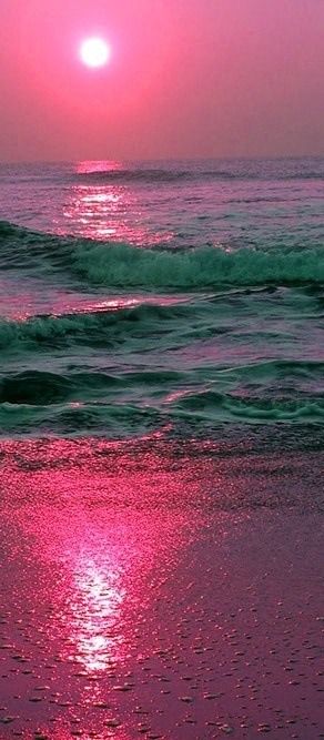 Exquisite photography - pink, sunset beach.