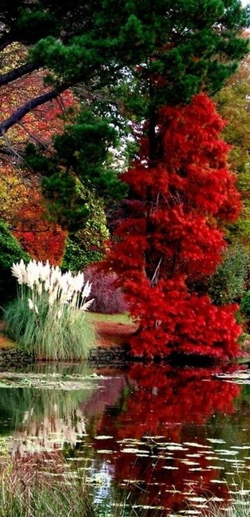 Fall #Beauty #Amazing World