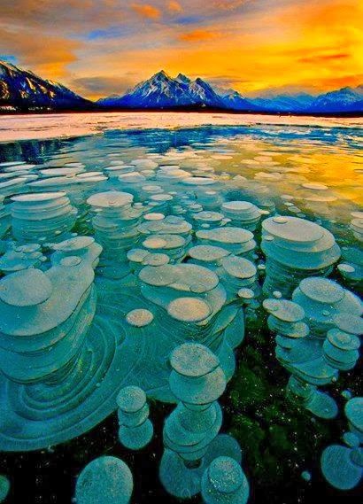 Frozen Bubbles, Abraham Lake, Alberta, Canada Bubbles trapped and frozen under a thick layer of ice creating a glass type feel to the frozen lake.
