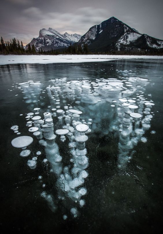 Frozen bubbles in Canadian lakes - in pictures Photographed in Banff National Park in Alberta, Canada, the bubbles are made from highly flammable gas methane
