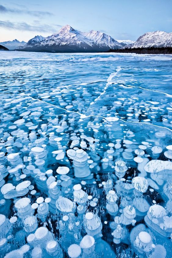Frozen Bubbles on Abraham Lake, Alberta, Canada. Photo: Emmanuel Coupe