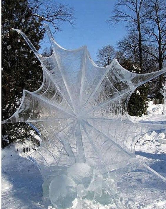 Frozen spider web by Luis Trevino