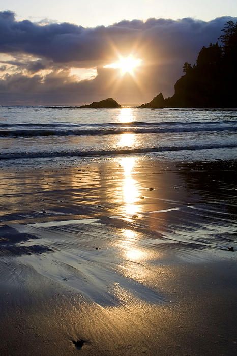 Golden Sand Sunset ~ Sunset Bay State Park, Oregon Coast :: © Patricia Davidson