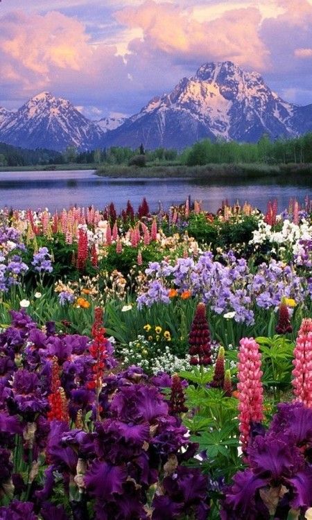 Grand Teton National Park -  we could honeymoon in the lodge at Yellowstone & this is close
