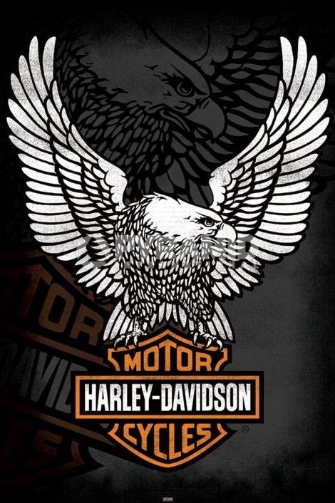 harley davidson quotes | Harley Davidson (Eagle) Poster