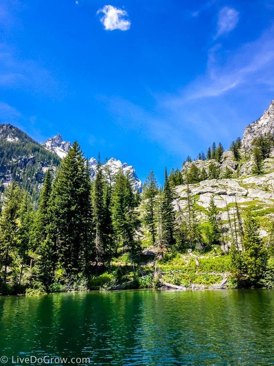 Here are 7 reasons (plus a few more bonus reasons) to plan a summer adventure trip to Jackson Hole, Wyoming – including hiking from Jenny lake in Grand Teton National park.