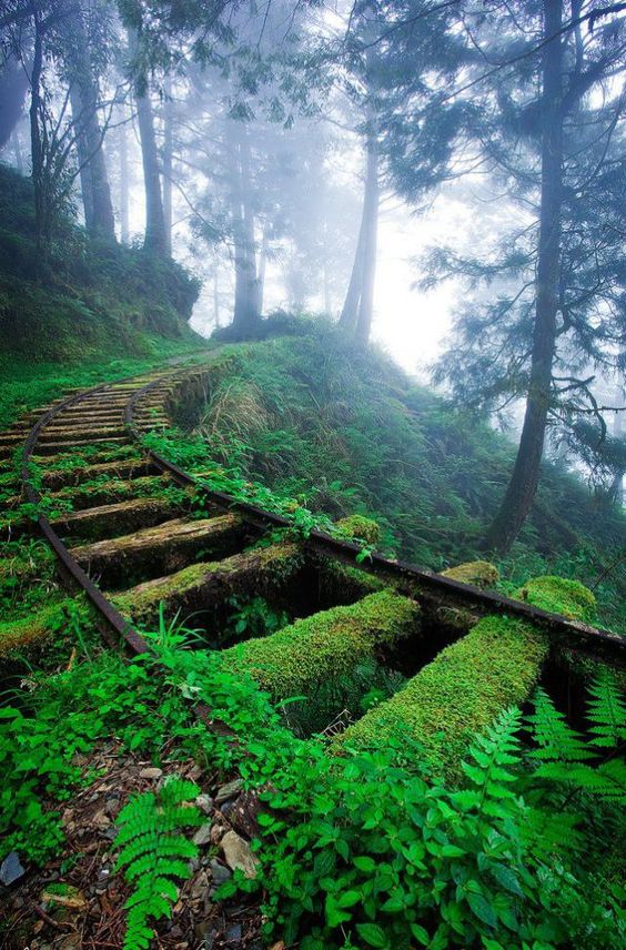 I love places like this: where human once built something, then desided not to use it fon one reason or another. I love abandonded railroads, peeling off asphalt, empty houses. I love where nature is showing its power.