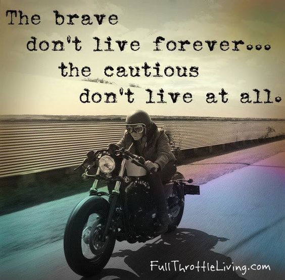 #inspirationalsayings  The brave don't live forever but the cautious don't live at all #qoutes