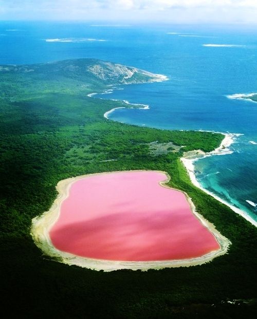 Lake Hillier, Australia. The pink color of the lake is thought to come from red halophilic bacteria in the salt crusts.
