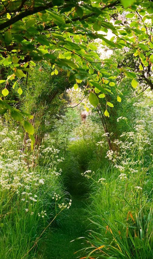 Lush nature path at The Old Malthouse in Wiltshire, England • photo: Heather Edwards on Serenity in the Garden