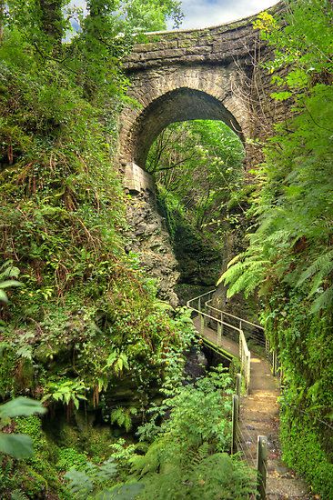 Lydford Gorge is reasonably protected from the rain so if you want to take a walk on a wet day, go there!