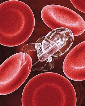 Medical Nanobots are part of an emerging technology that hopes to use microscopic robots to travel inside the human body to collect information and make minor repairs.