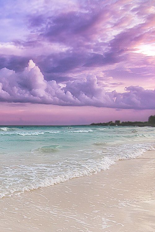 motivationsforlife: Beach, wood and a Pelican by Todd Wall  MFL