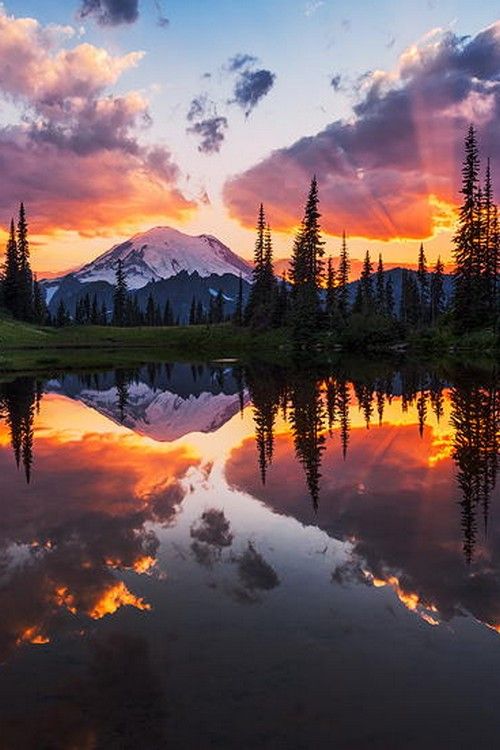 Mount Rainier reflected in Tipsoo Lake at sunset, Washington State