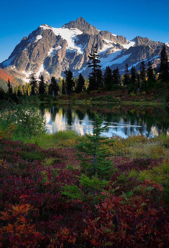 ✮ Mount Shuksan in Washington state's North Cascades National Park reflecting in Picture Lake