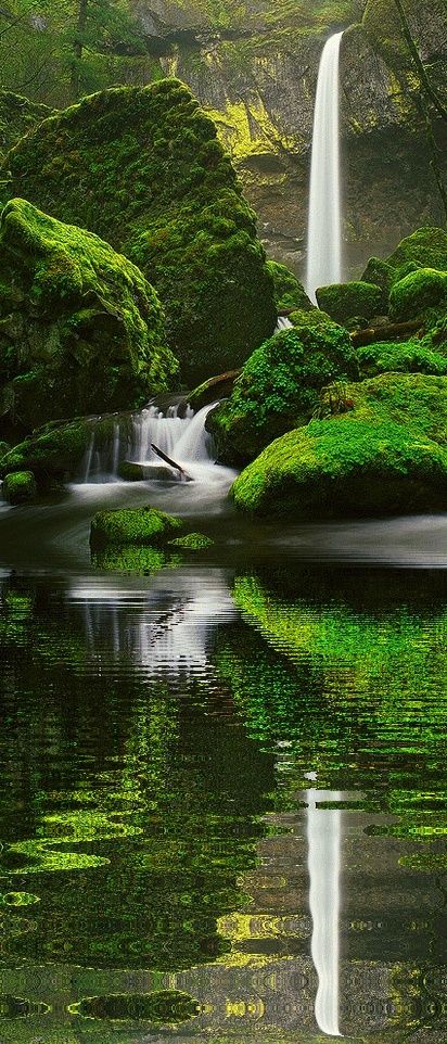 Nature - Elowah Falls, Oregon