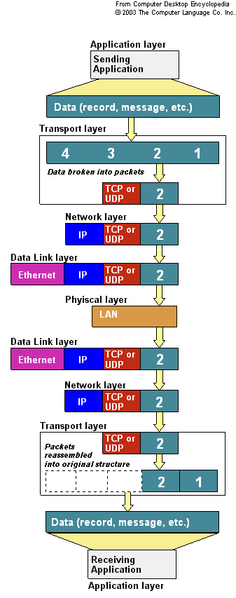 Networking OSI TCP IP UDP ARP DNS