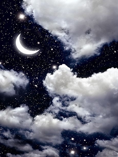 Night Sky / 1180