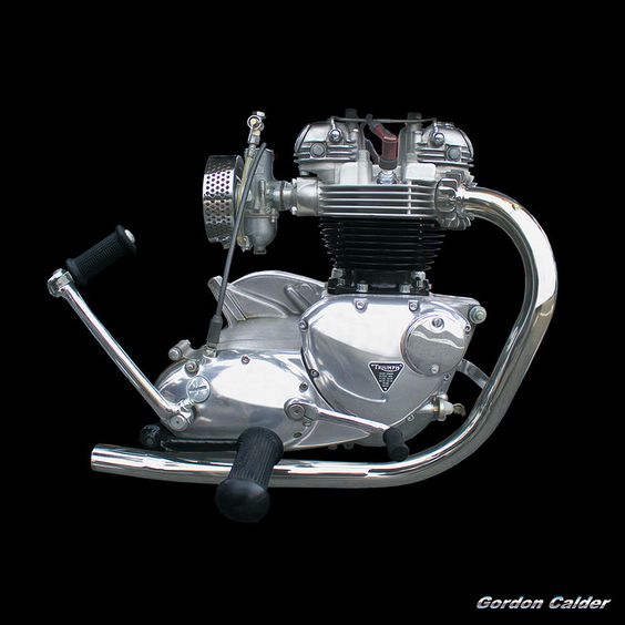 NO 23: CLASSIC TRIUMPH 650 THUNDERBIRD MOTORCYCLE ENGINE by Gordon Calder, via Flickr