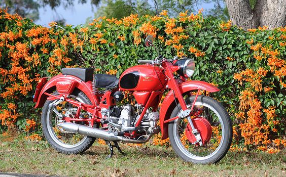 Old Bike Australasia: Birds of a feather - 1953 Moto Guzzi Airone 250 - Shannons Club