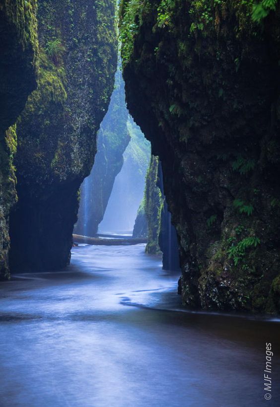 Oneonta Narrows - Columbia River Gorge - Oregon - USA