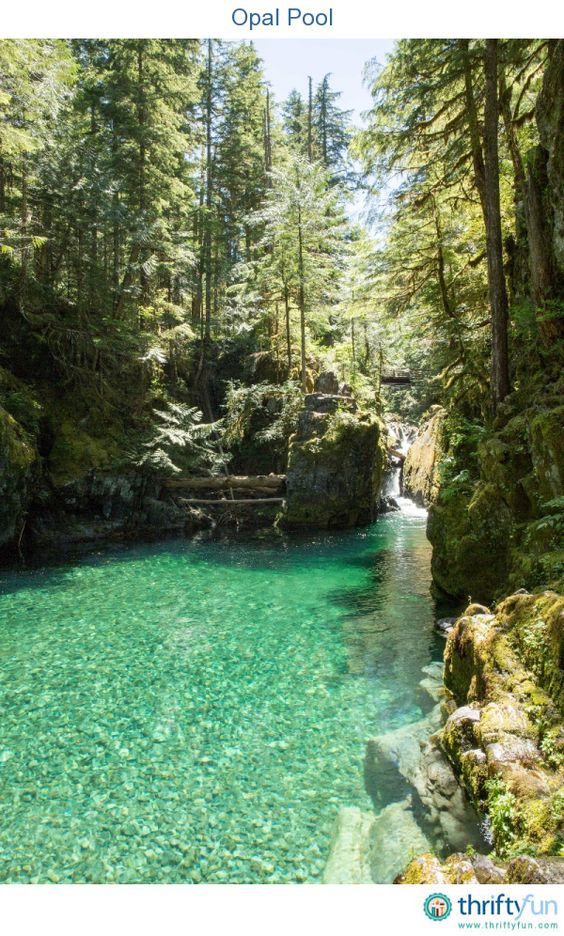 Opal Creek runs through thousands of acres of protected old growth forest, crisscrossed with over 30 miles of hiking trails.