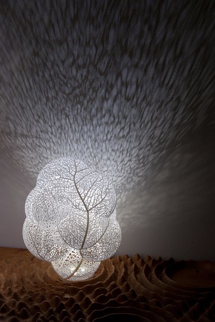 orbicular lamp by nervous system, via Flickr