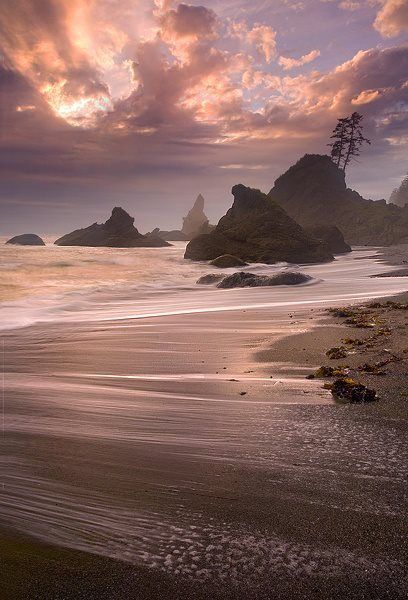 Pacific Ocean, Olympic National Park, Washington State