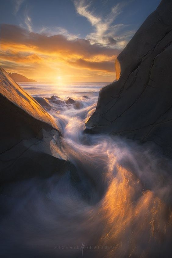 Phoenix - Stunning Nature Photography by Michael Shainblum