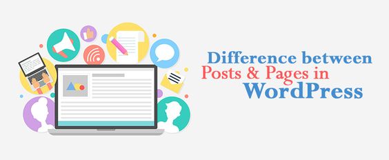 Posts and Pages in WordPress